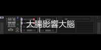 大腸影響大腦