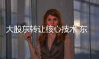 大股東轉(zhuǎn)讓核心技術(shù) 東旭光電或?qū)⒂瓉硎锕猓?企業(yè)經(jīng)營