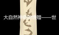 大自然神奇的饋贈(zèng)——世家麗貝殼粉點(diǎn)亮你的家