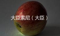 大臣索尼（大臣）