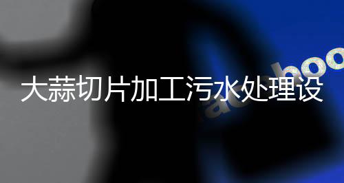 大蒜切片加工污水處理設備