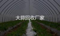 大蒜回收廠家