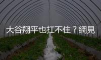 大谷翔平也扛不?。烤W見臺南Josh身上「這T恤」秒懂：難怪手指抽筋…