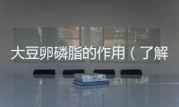 大豆卵磷脂的作用（了解大豆卵磷脂的營養成分和功效）