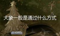 大象一般是通過(guò)什么方式來(lái)“防曬”的（螞蟻莊園7月1日答案）
