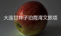 大連甘井子泊霞灣文旅項目簽約 一期計劃投資2億元