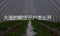 大連的期貨開戶怎么開，開戶流程是什么