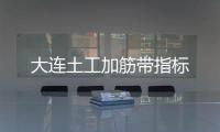 大連土工加筋帶指標(biāo)