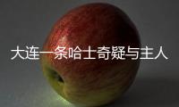 大連一條哈士奇疑與主人走丟 街邊嚎叫好似在痛哭