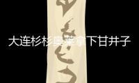 大連杉杉奧萊拿下甘井子9.3萬平商業用地，底價5.8億元成交