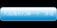 大連海關打掉一個“洋垃圾”走私團伙 查證固體廢物600余噸
