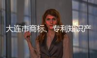 大連市商標、專利知識產(chǎn)權(quán)服務(wù)“一窗通辦”正式啟動