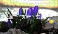 大連：“知產(chǎn)”變資產(chǎn) 知識(shí)產(chǎn)權(quán)評(píng)估為企業(yè)紓困解難