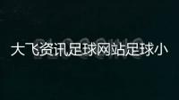 大飛資訊足球網站足球小將日本隊中國國家足球隊隊徽