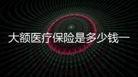 大額醫療保險是多少錢一年
