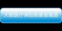 大額醫療保險額度最高是多少