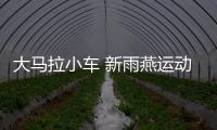 大馬拉小車 新雨燕運動版預計明年發(fā)布