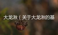 大龍湫（關于大龍湫的基本情況說明介紹）
