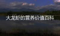 大龍蝦的營(yíng)養(yǎng)價(jià)值百科
