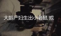 大齡產(chǎn)婦生出小老鼠 或因葉酸補(bǔ)充不足有關(guān)