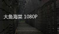 大魚(yú)海棠 1080P 下載（大魚(yú)海棠下載迅雷）