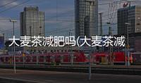 大麥茶減肥嗎(大麥茶減肥效果怎么樣)