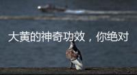 大黃的神奇功效，你絕對想不到！