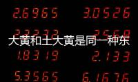 大黃和土大黃是同一種東西嗎（土大黃與大黃的區別）