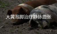 大黃泡腳治療靜脈曲張