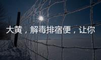 大黃，解毒排宿便，讓你輕松擁有健康腸道！