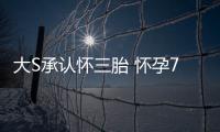 大S承認(rèn)懷三胎 懷孕7周41歲高齡擔(dān)心吃不消