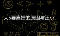 大S要離婚的原因與汪小菲言論有關
