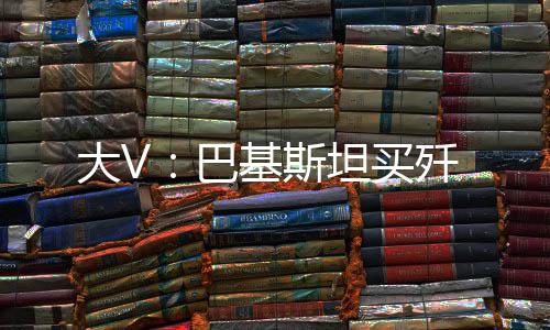 大V：巴基斯坦買殲