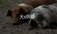 大s懷孕