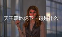 天王蓋地虎下一句是什么段友（天王蓋地虎下一句是什么）