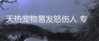 天熱寵物易發(fā)怒傷人 專家：被咬傷后要及時就診