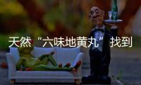天然“六味地黃丸”找到了，男人多吃4種食材，益氣養精，腎更好