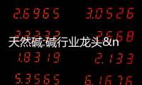 天然堿:堿行業龍頭 打破在即(),行業資訊