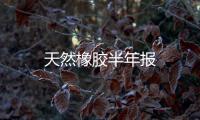 天然橡膠半年報