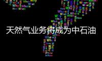 天然氣業(yè)務(wù)將成為中石油加速發(fā)展新增點(diǎn)