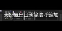 天然氣出口國論壇呼籲加強合作確保能源安全