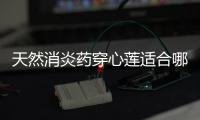 天然消炎藥穿心蓮適合哪些疾病？“性味歸經”又怎么解釋？