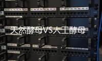 天然酵母VS人工酵母