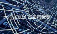 天狗驅寒盡 寶豬帶暖春的意思（天狗驅寒盡）