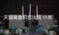 天貓魔盒初愈出院 小米等安卓系統盒子又遭殃了