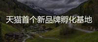 天貓首個新品牌孵化基地落地杭州 20個品牌有望入駐