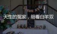 天生的冤家，細(xì)看白羊雙子的恩怨情仇