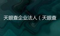 天眼查企業法人（天眼查企業法人）