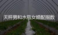 天秤男和水瓶女婚配指數 天秤男和水瓶女婚配指數是多少