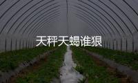 天秤天蝎誰狠
